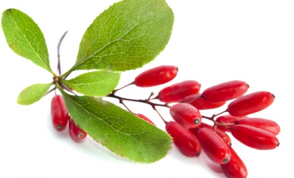 GOJI FORTE KAPSELN 